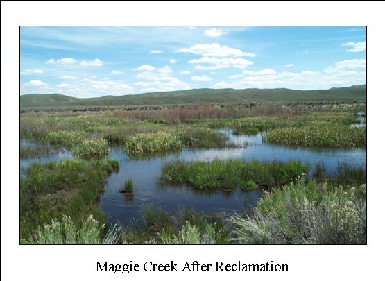 maggie creek after reclamation